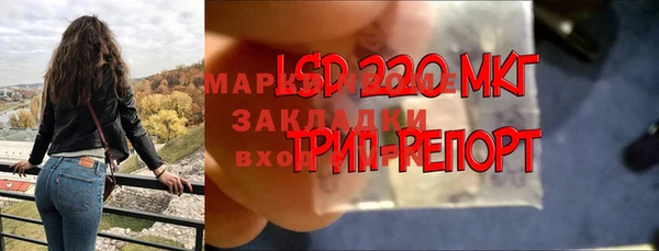 не бодяженный Гусев
