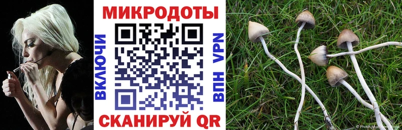 купить наркоту  Балашиха  Псилоцибиновые грибы Cubensis 